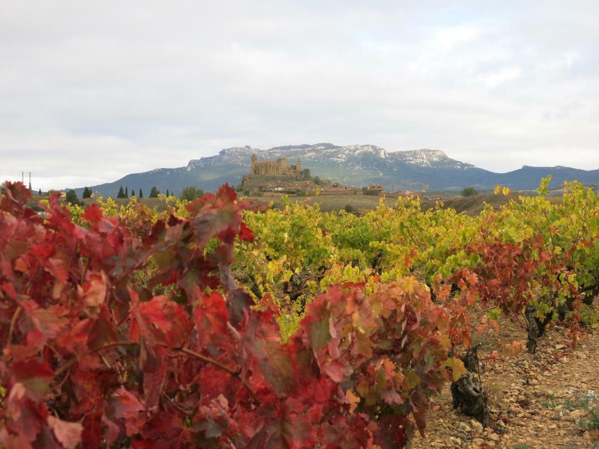 75 Avenida De La Rioja * San Vicente de la Sonsierra