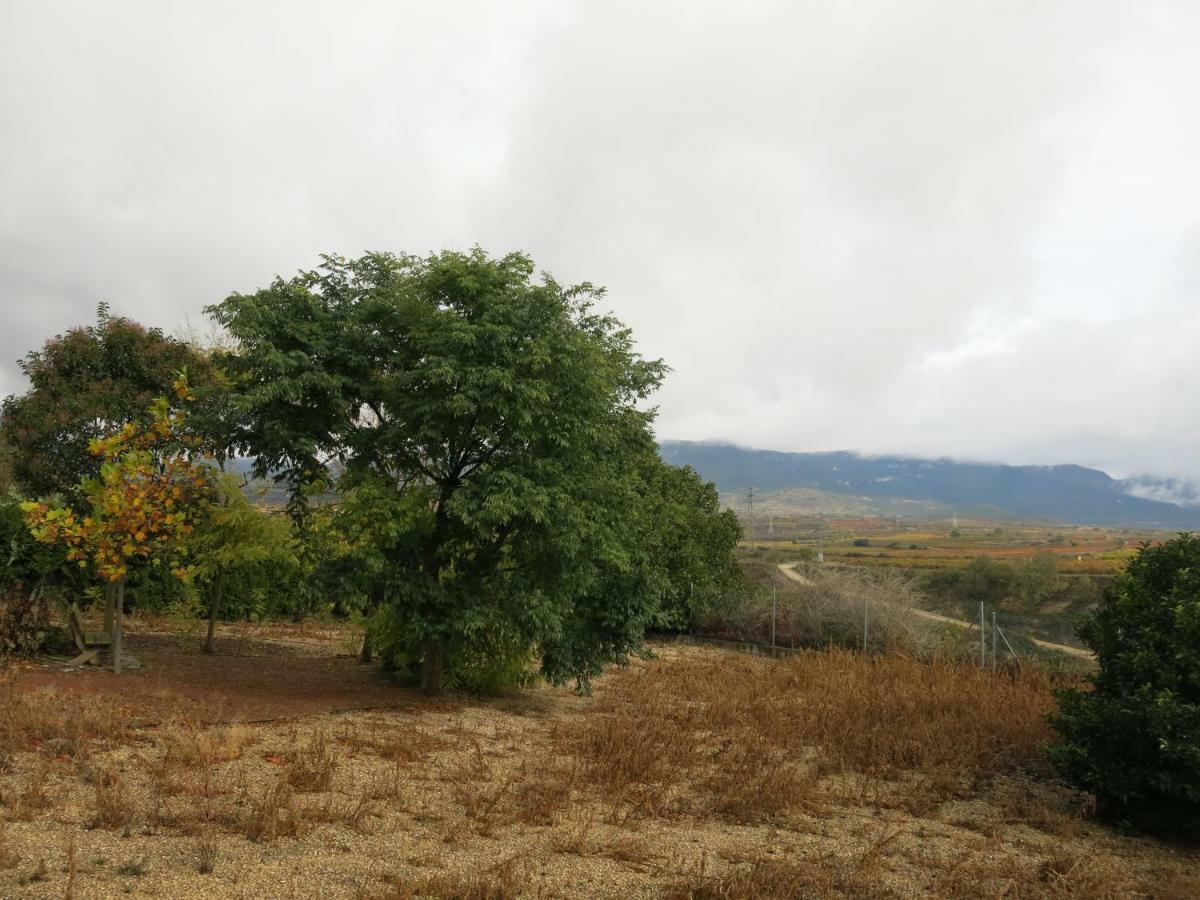 75 Avenida De La Rioja * San Vicente de la Sonsierra